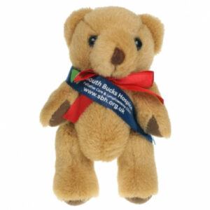 George The Teddy Bear - Sash