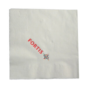 Lunch Napkin