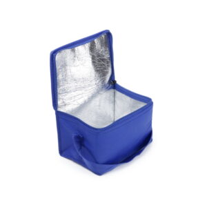Six Can Cooler Bag