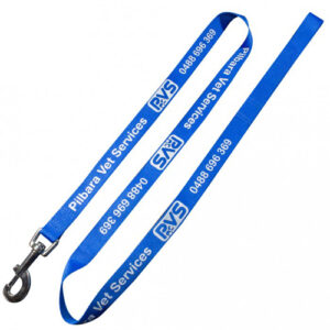 Dog Lead - 15x1300mm
