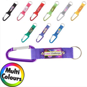 Carabiner Keyring