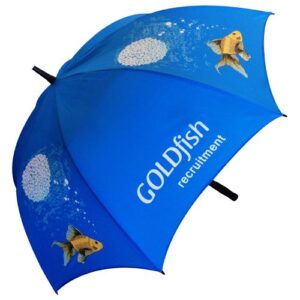 Automatic Fibrestorm Umbrella