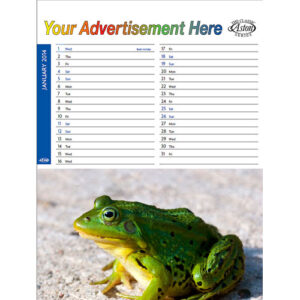 Postcard Calendar