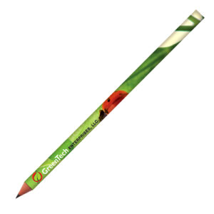 Bic Ecolutions Evolution Digital Cut End Pencil