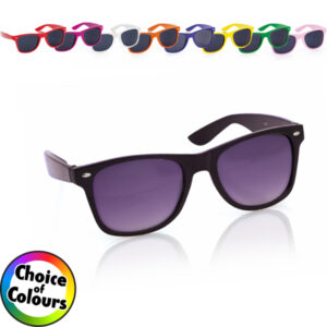 Wayfarer Style Sunglasses