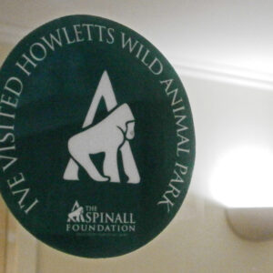 Self Adhesive Window Stickers - Circle