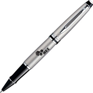 Waterman Expert Steel Ballpen