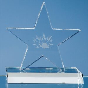 Optical Crystal 5 Pointed Star on Base Award