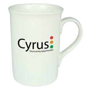 Windsor China Mugs