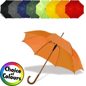 Walking Umbrella