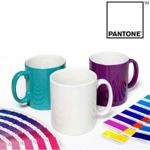 Pantone Matched Cambridge Mug